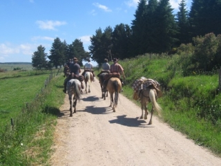  Reiten im 69.JPG 